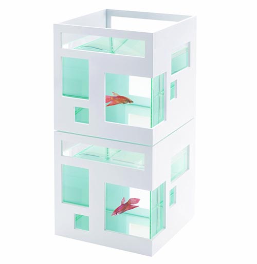 Contemporary Fish Condo