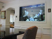  In wall aquarium